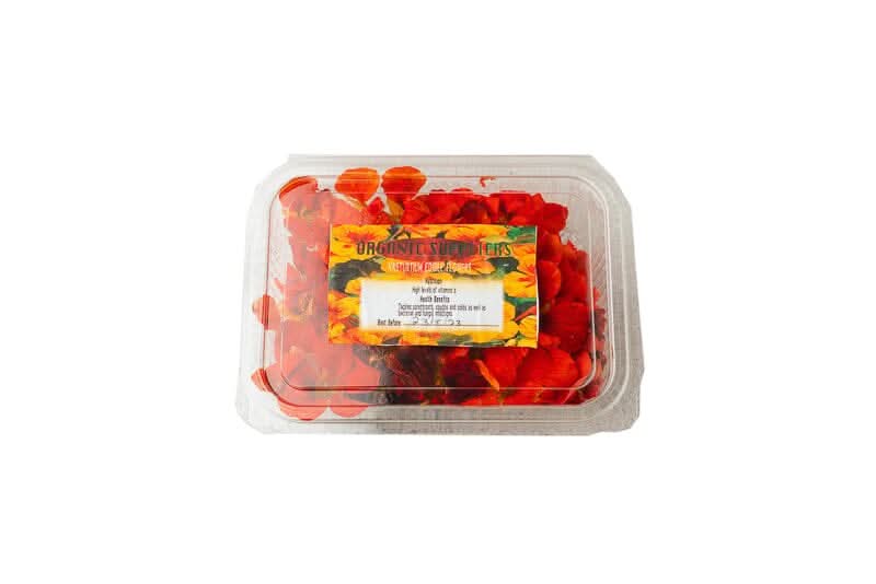 Organic Edible Flowers at zucchini