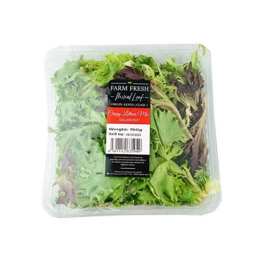 Farm Fresh Mixed Leaf Lettuce at zucchini