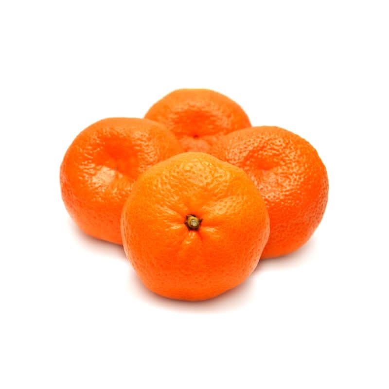 Fresh Imported Indigo Tangerines at zucchini