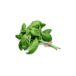 Fresh Basil per bunch at zucchini
