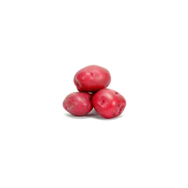 Red alika potatoes per kg at zucchini