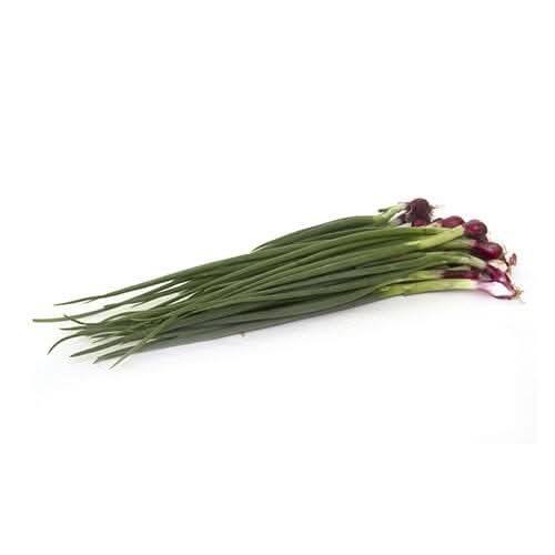 Spring Onions per bunch at zucchini