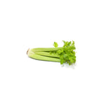 Fresh Celery per kg at zucchini