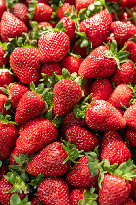 Berries