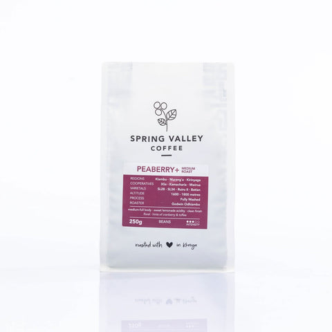 Spring Valley Medium Roast Coffee (Medium Grind) - Peaberry+