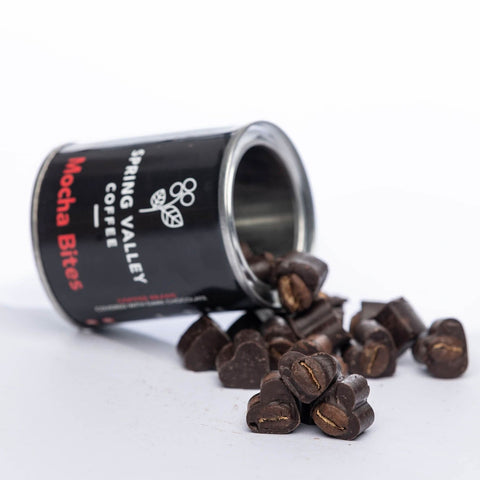 Christmas at Zucchini