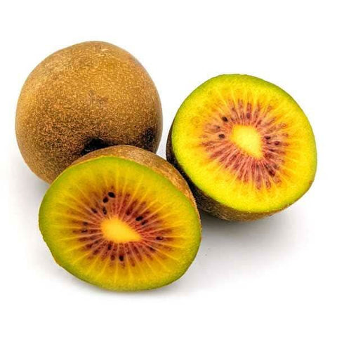 Imported Red Kiwi (5 Pack) at zucchini