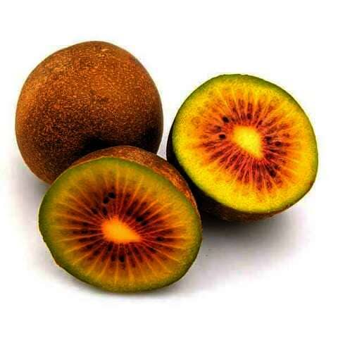 Imported Green Kiwi (6 Pack)