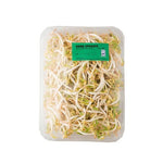 Bean sprouts packed at zucchini