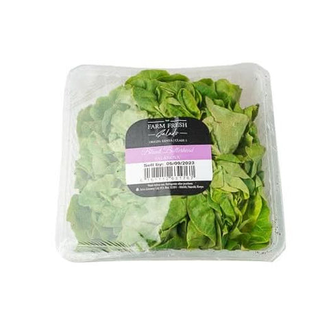 Farm fresh blond butterhead lettuce packed at zucchini