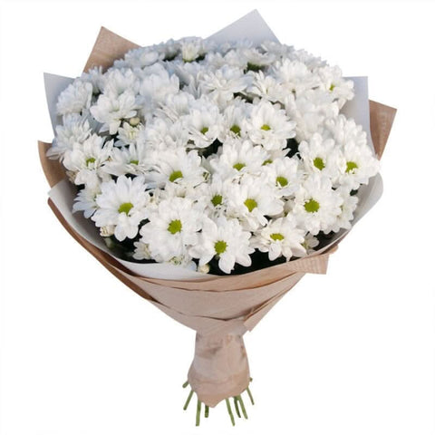 Chrysanthemums per bunch at zucchini