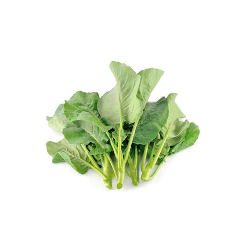 Fresh Sorel (Soro) per bunch at zucchini