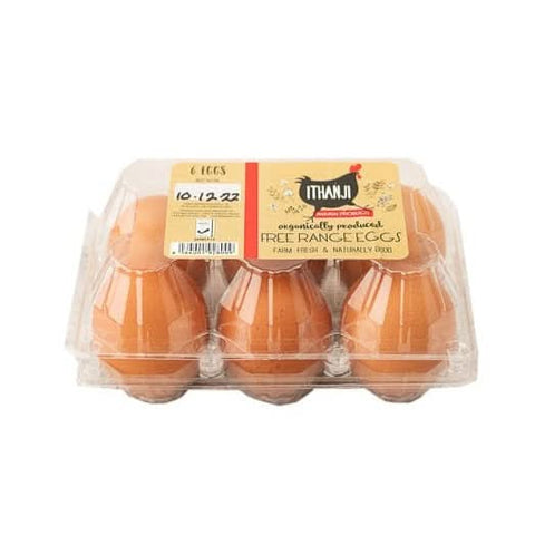 Ithanji eggs at zucchini