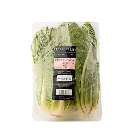 Farm fresh crispy salanova lettuce at zucchini