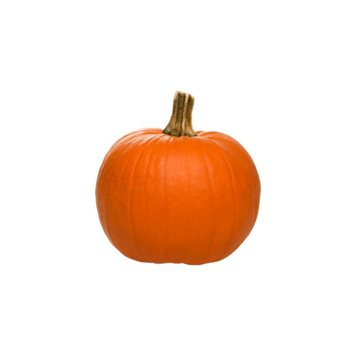 Halloween Pumpkin per kg at zucchini