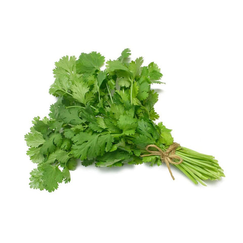 Fresh Dhania/Coriander Leaves (Cilantro) per bunch at zucchini